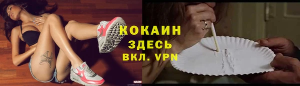 сатива Баксан