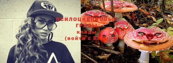 дмт Аркадак