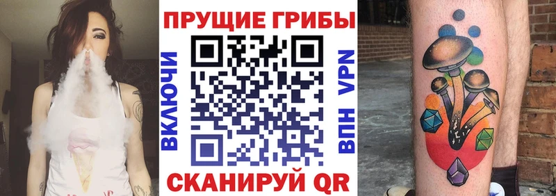 маркетплейс как зайти  Спасск-Дальний  Галлюциногенные грибы Psilocybe  цена наркотик 