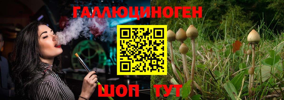 Галлюциногенные грибы мицелий Спасск-Дальний