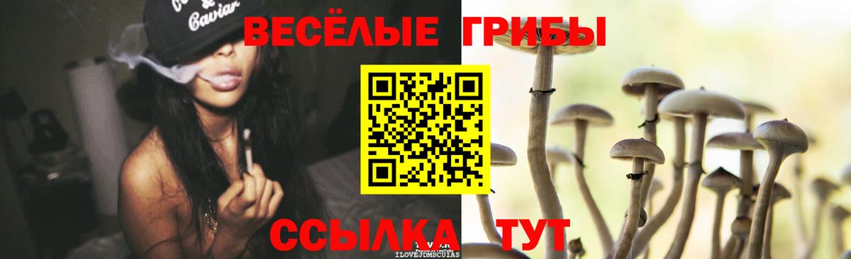 Галлюциногенные грибы прущие грибы  Вход с VPN  Спасск-Дальний 